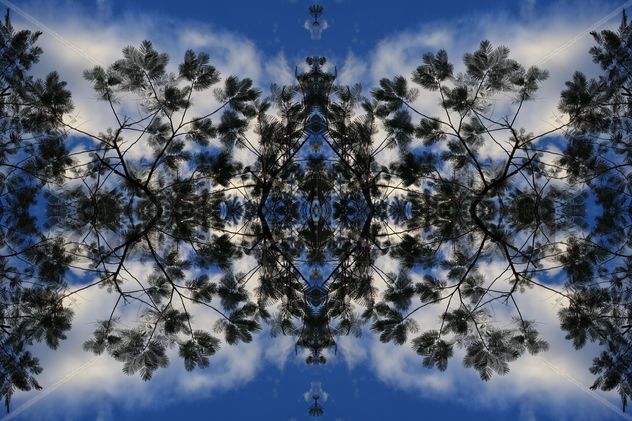 Arbofractal #20