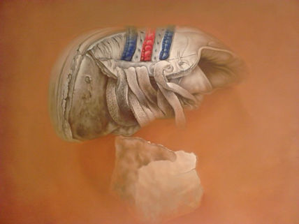 Zapatilla rota