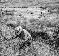 Agricultor