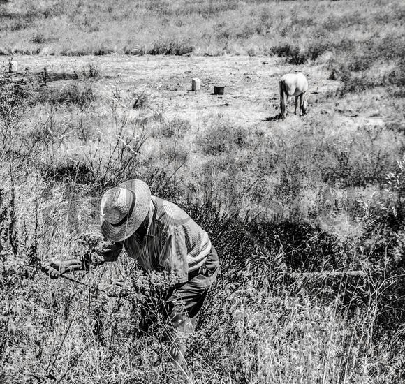 Agricultor Otras temáticas Blanco y Negro (Digital)