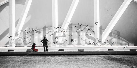 Volar