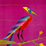 Pájaros thumbnail 1
