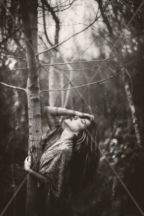 Bosque de recuerdos.
