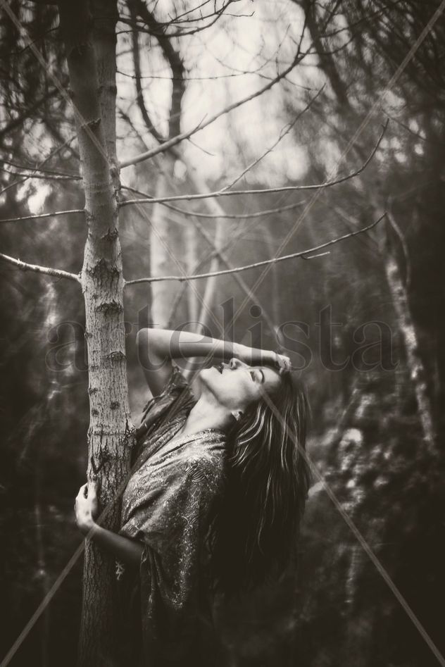 Bosque de recuerdos.