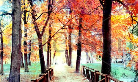 NATURALEZA