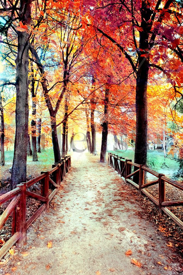 NATURE COLLECTION nº 872617