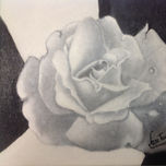 FLORES thumbnail 2
