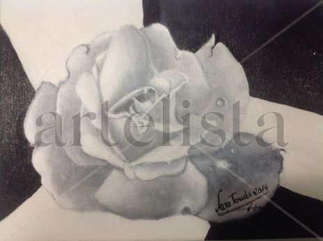 Una rosa de mi jardin