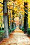 NATURE COLLECTION nº 87779