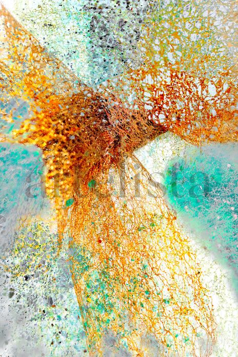 ABSTRACT COLLECTION...