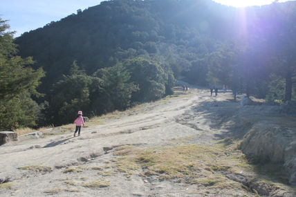 Camino al Alcázar 1