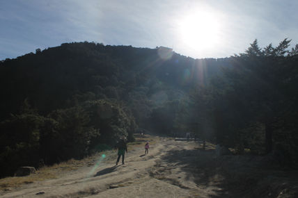 Camino al Alcázar 2