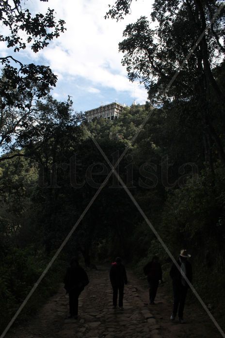 Camino al Alcázar 3