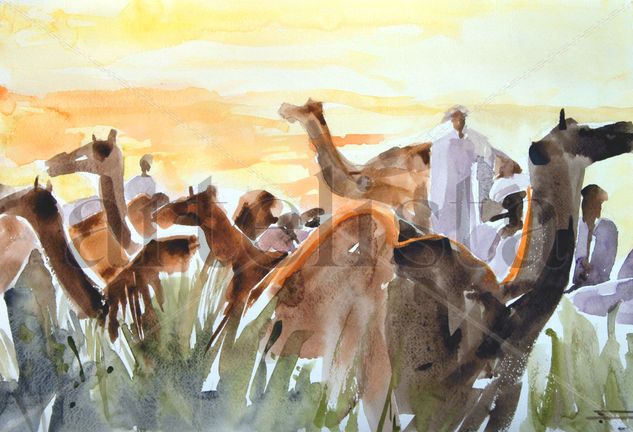 DESCANSO DE LOS CAMELLOS Watercolour Paper Others