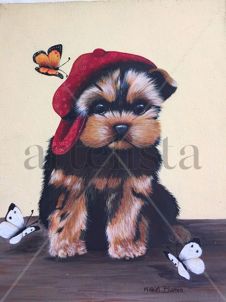Yorky