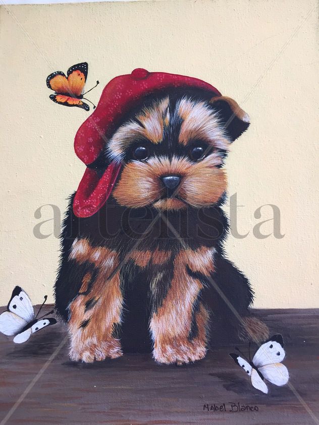 Yorky