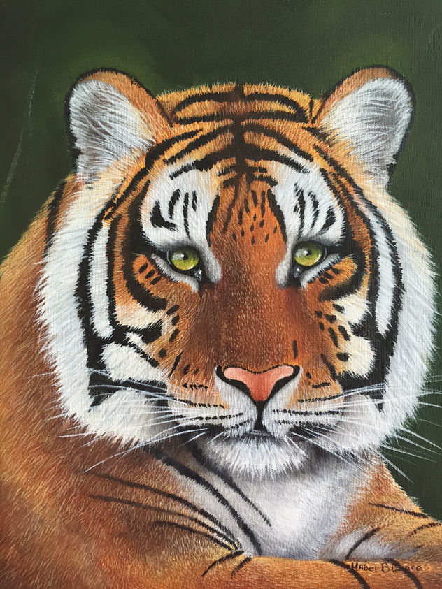 cabeza de tigre