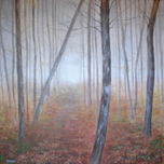 Bosques thumbnail 2