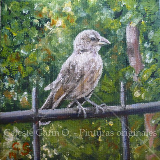 Pajarito Oil Canvas Animals