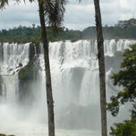 naturaleza thumbnail 1