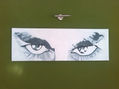 THE LOOK