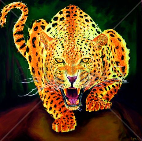 Leopardo