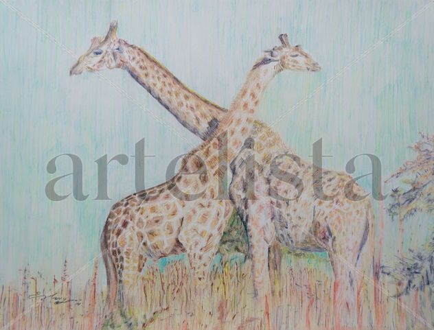 GIRAFAS