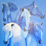 Caballos thumbnail 2