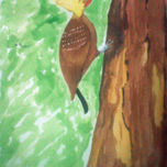Acuarela thumbnail 1