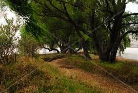Sendero en la...