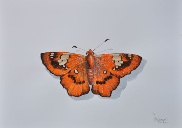 PAPILLON N° 1. Gouache Paper Animals