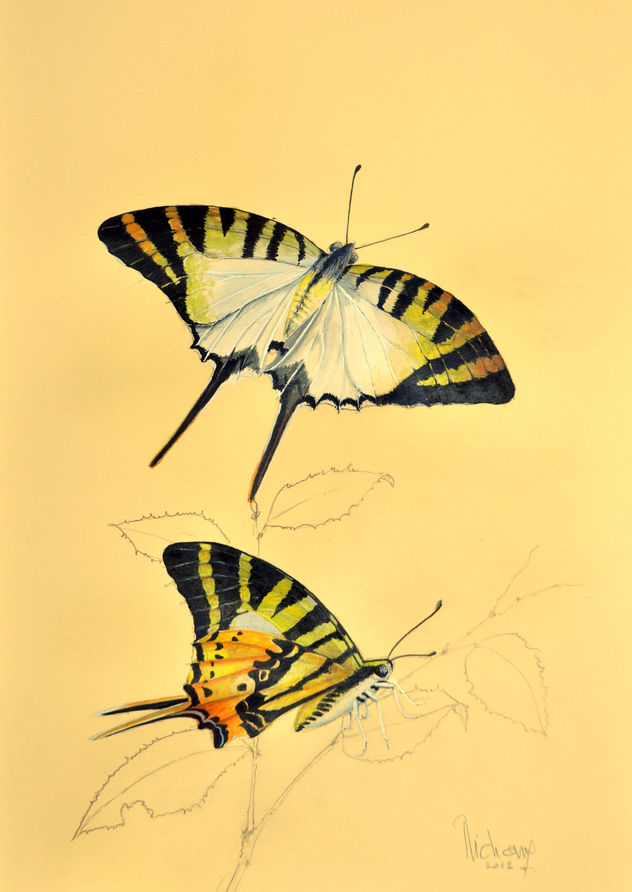 PAPILLON N° 3.