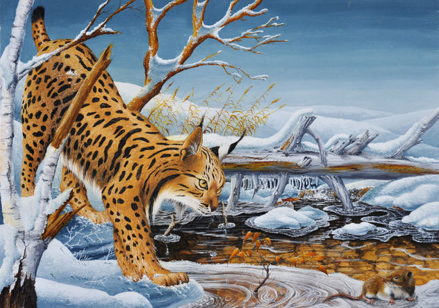 LA CHASSE DU LYNX