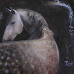 animales thumbnail 2
