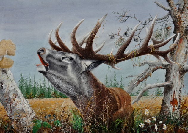 CERF BRAMANT