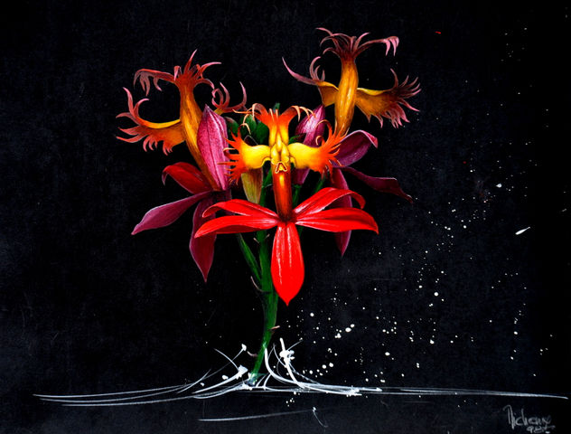 EPIDENDRUM ELLIPTICUM