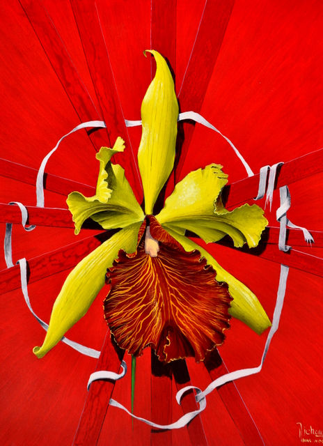 Orchidee