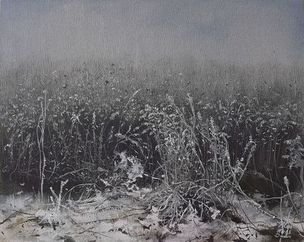Fog
