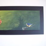 Serie aves thumbnail 1