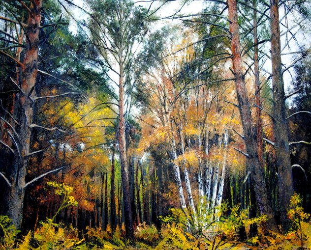 Abedules dentro del pinar, en otoño.