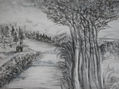 PAISAJE MEDIO NEVADO