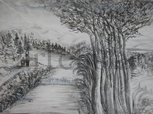 PAISAJE MEDIO NEVADO Charcoal