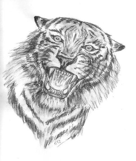 Tigre Pencil