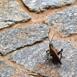 Photos thumbnail 2