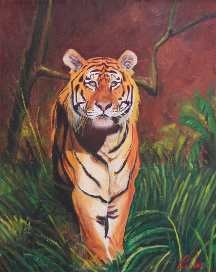 Tigre Óleo Lienzo Animales