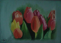 Tulipanes de colores