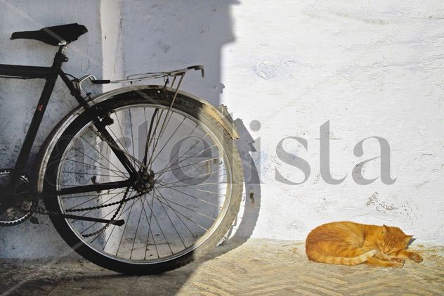 COLECCION ESCENAS nº 88887