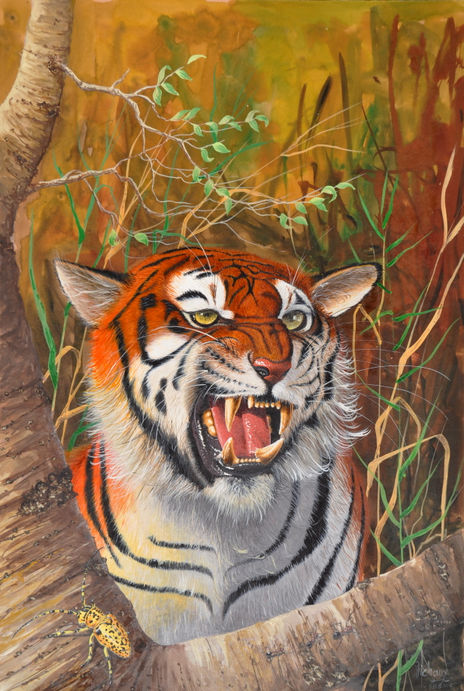 Tigre du bengal