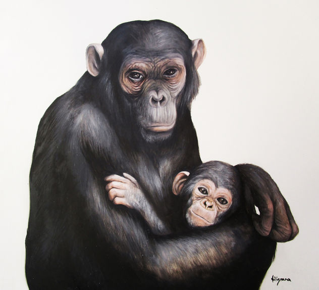 CHIMPANCÉ CON CRIA