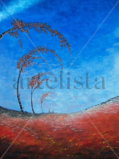 Serie Campo 4